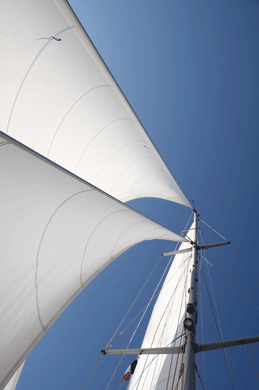 Sail 259x390
